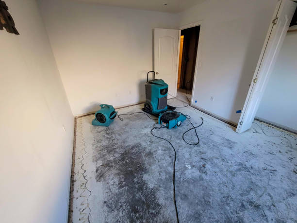 Best Sewage cleanup and water damage restoration  in Bowmansville, PA