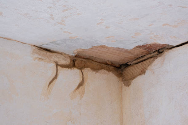 Best Flood damage cleanup  in Bowmansville, PA