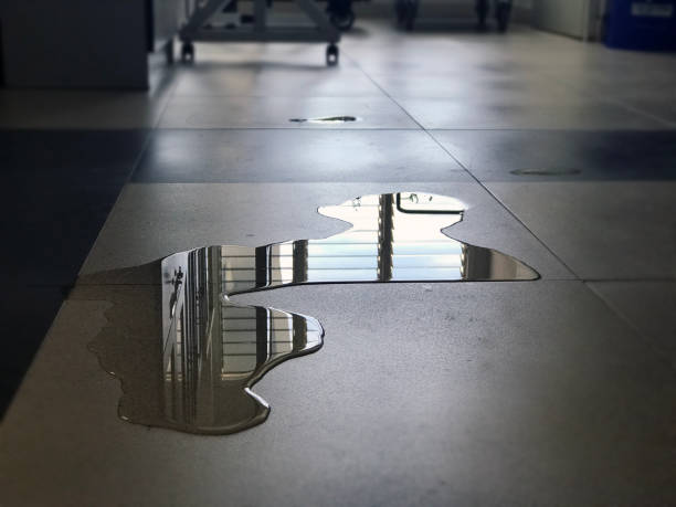 Best Professional water damage repair  in Bowmansville, PA