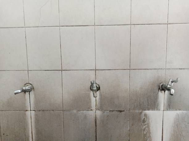 Best Water damage restoration near me  in Bowmansville, PA