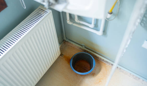 Best Mold removal after water damage  in Bowmansville, PA