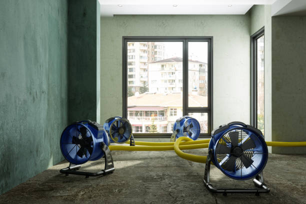Best Residential water damage restoration  in Bowmansville, PA